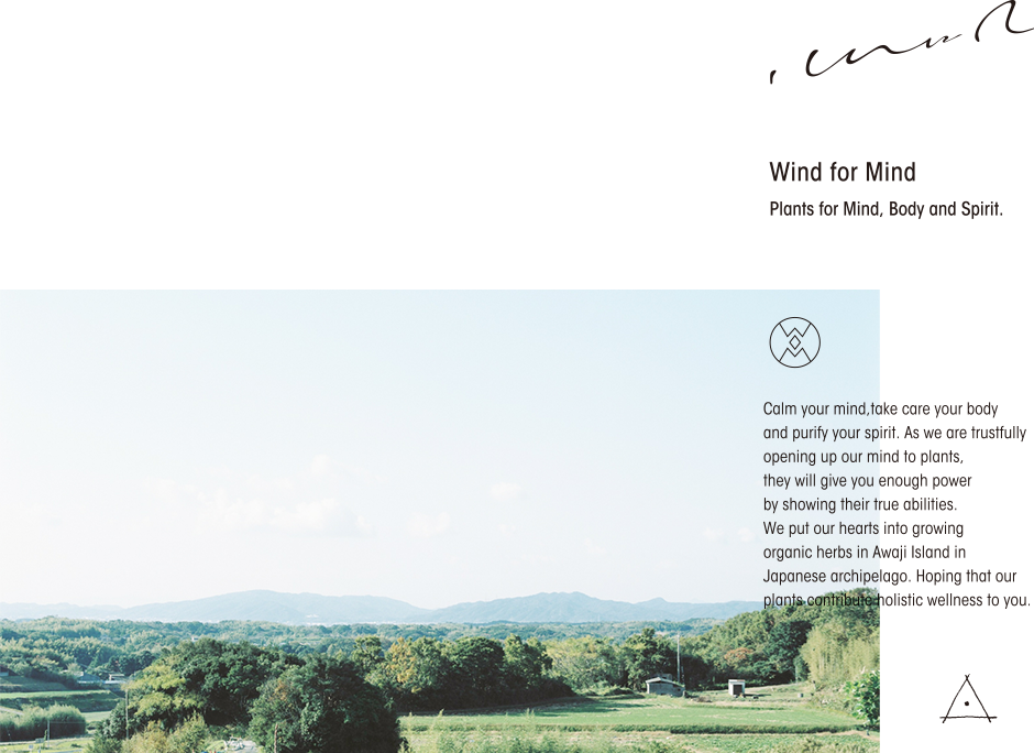 心に風 / Wind for Mind