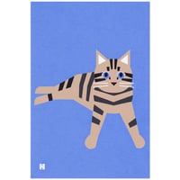はがき　きじとら