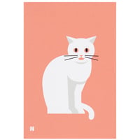 はがき　しろ