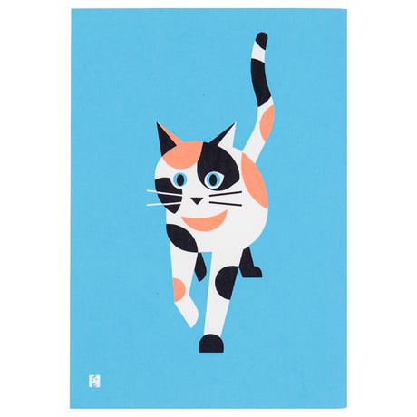 三毛猫 | STORES