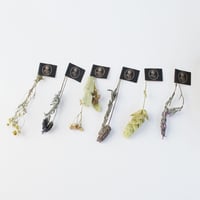 LE BENEFIQUE スルタン ソリマン ハーブティー 6種入り [6 stems box of Sultan]