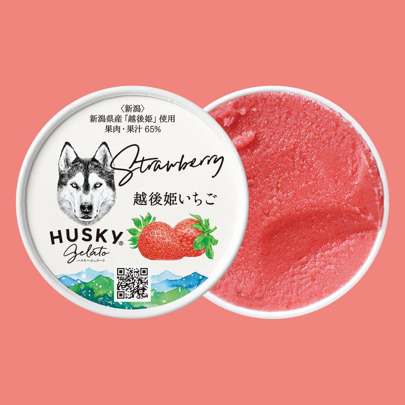 季節のジェラートセット / 6個入 | HUSKY GELATO