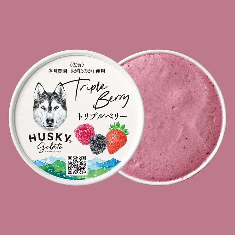 ハスキージェラートセット / 6個入 | HUSKY GELATO