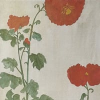 牡丹