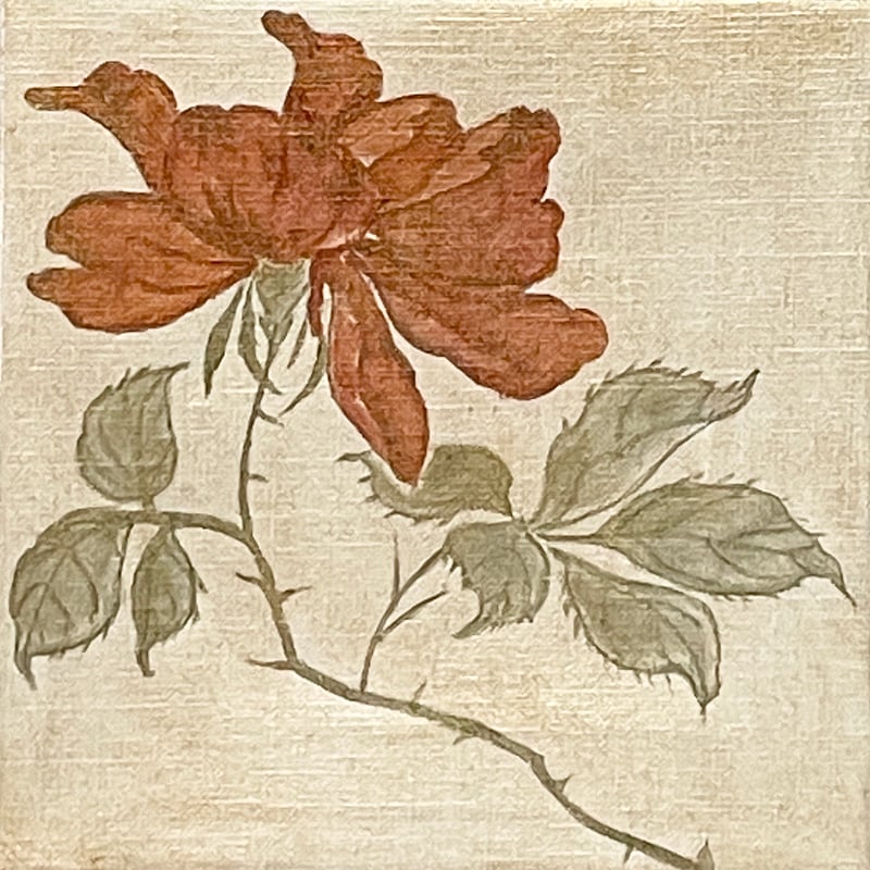 赤い薔薇1 | AKIKO KONDO