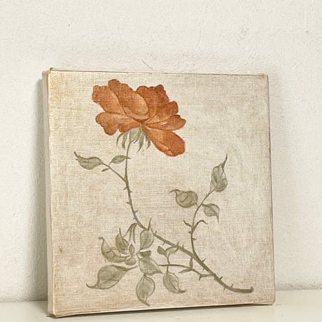 Rosa 2