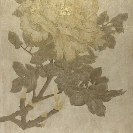 芍薬2