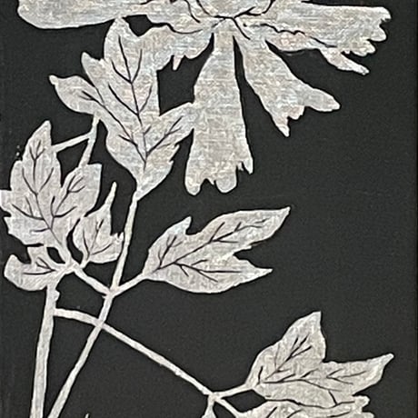 芍薬