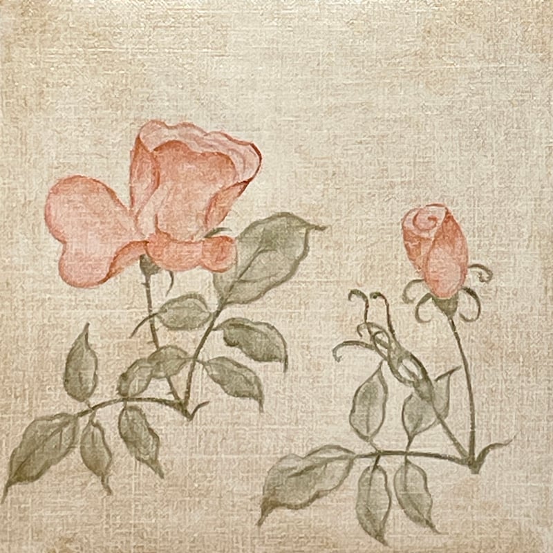 薔薇 20 | AKIKO KONDO