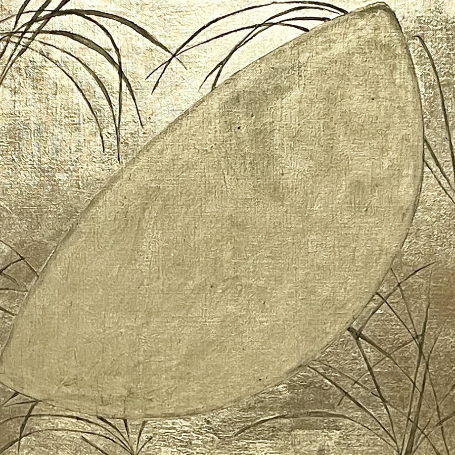 64f34580b3801a07683e61b9