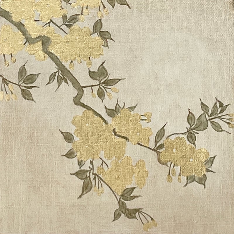 桜図 | AKIKO KONDO 桜図 | AKIKO KONDO