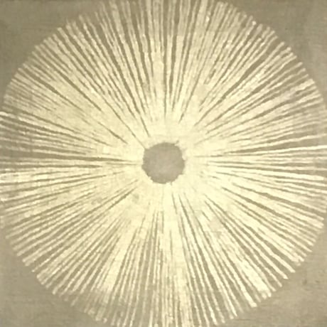 太陽の光
