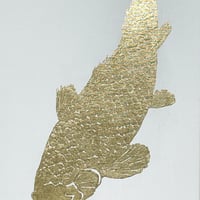 鯉　2