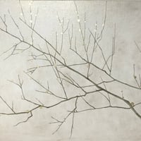 白梅図　70