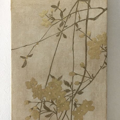桜204