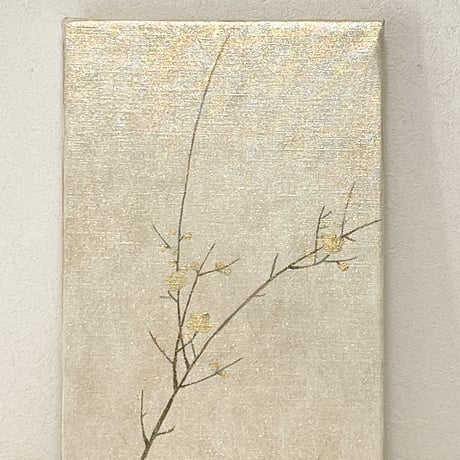 梅20