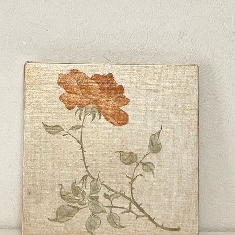 Rosa 2