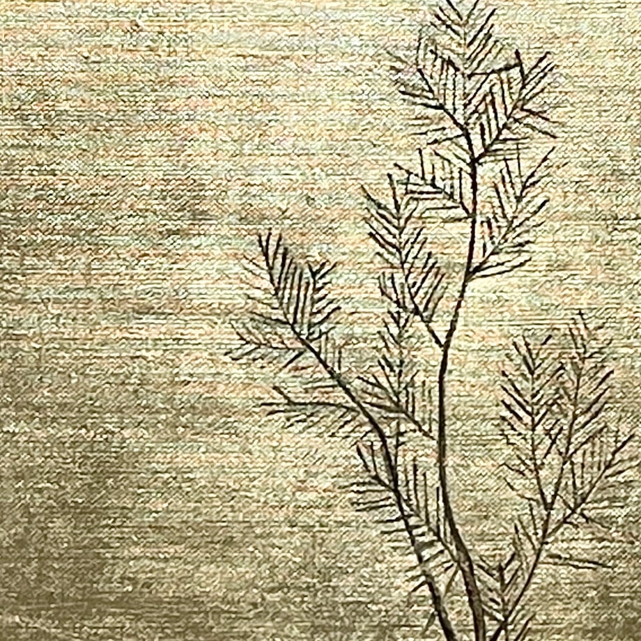 65b9cb06d132410033013e07