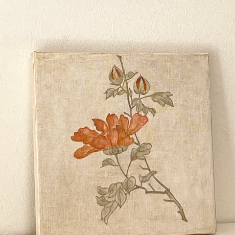 薔薇