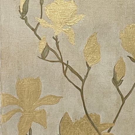 木蓮