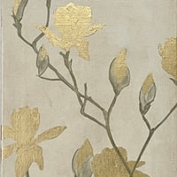 木蓮