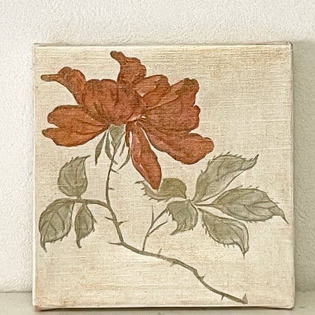 赤い薔薇1