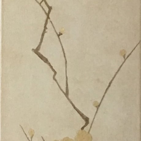 梅の木90/2
