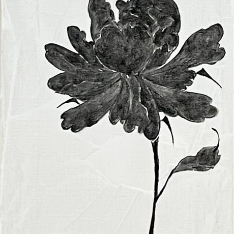 Fiori neri 1