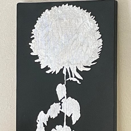 菊　1