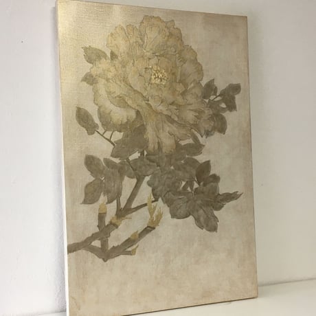 芍薬2