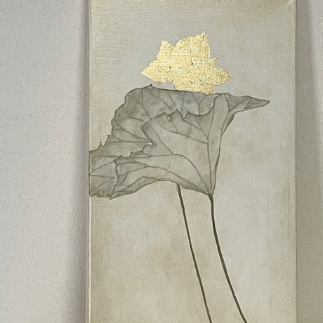 蓮