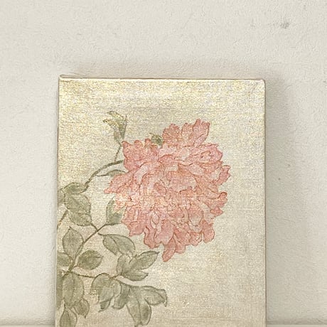 芍薬
