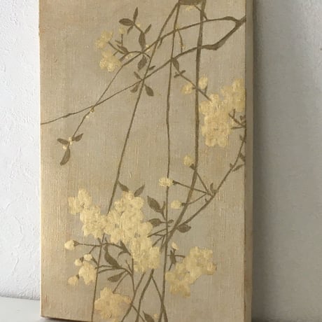 桜204