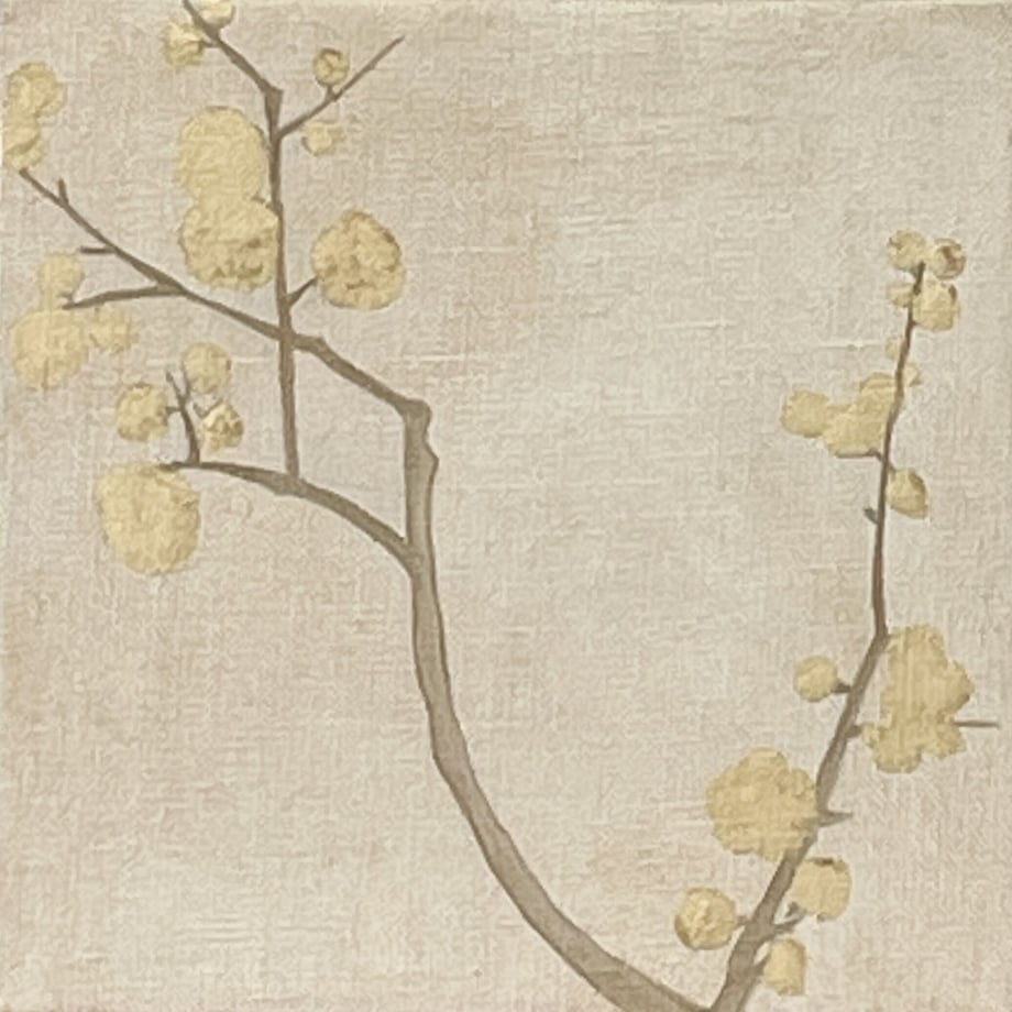 626a8f8c8d26fa2544526cce
