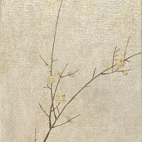 梅20