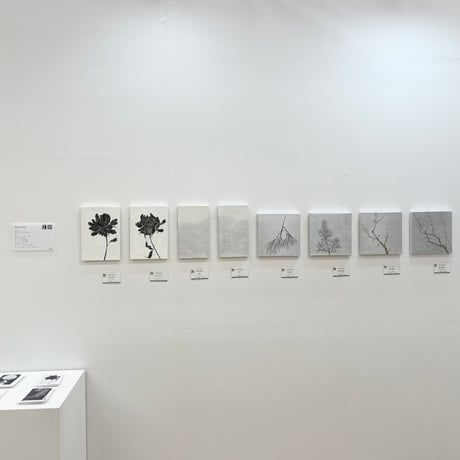 Fiori neri 2