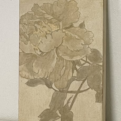芍薬　3