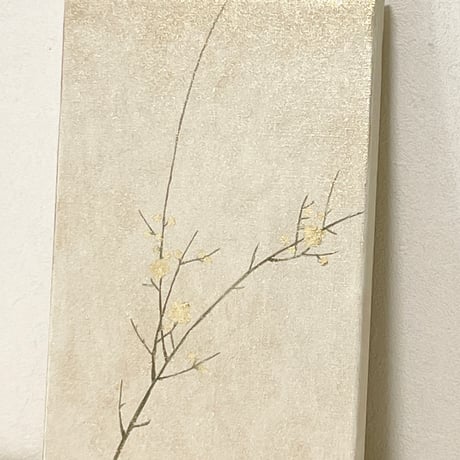 梅20