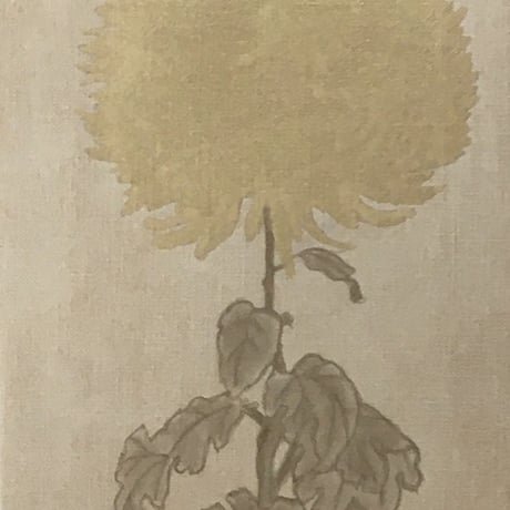 菊
