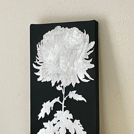 菊　2