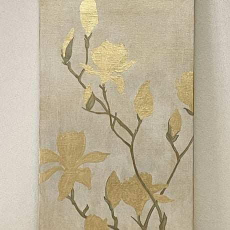 木蓮