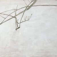 冬の梅　90-1