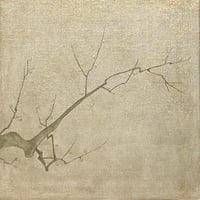 梅　27