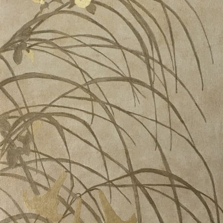 夏草図