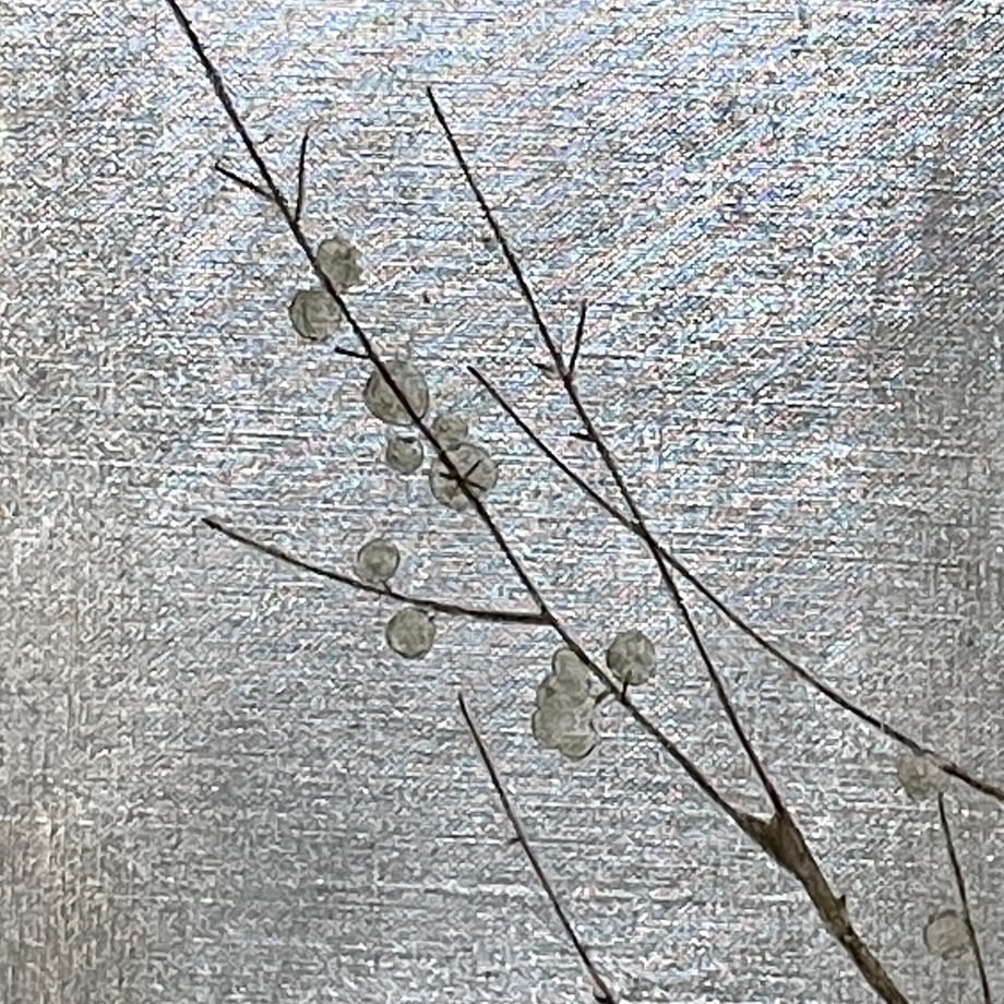 67544b9ca2895b2901dc3441