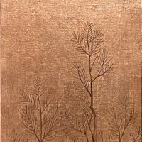 松図2