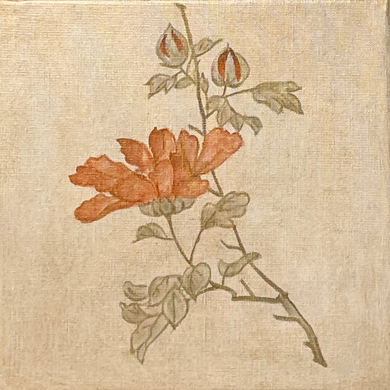 今関アキラコ、【薔薇】 薔薇 | AKIKO KONDO