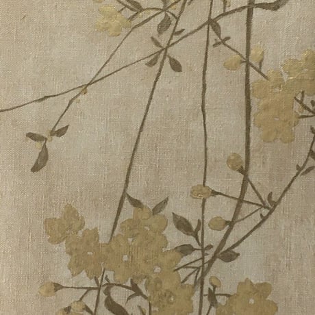 桜204