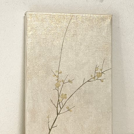 梅20