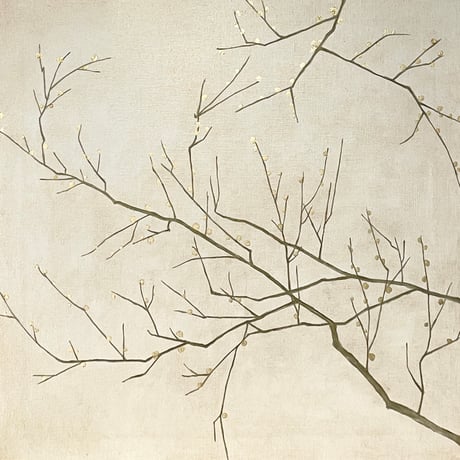 梅の枝